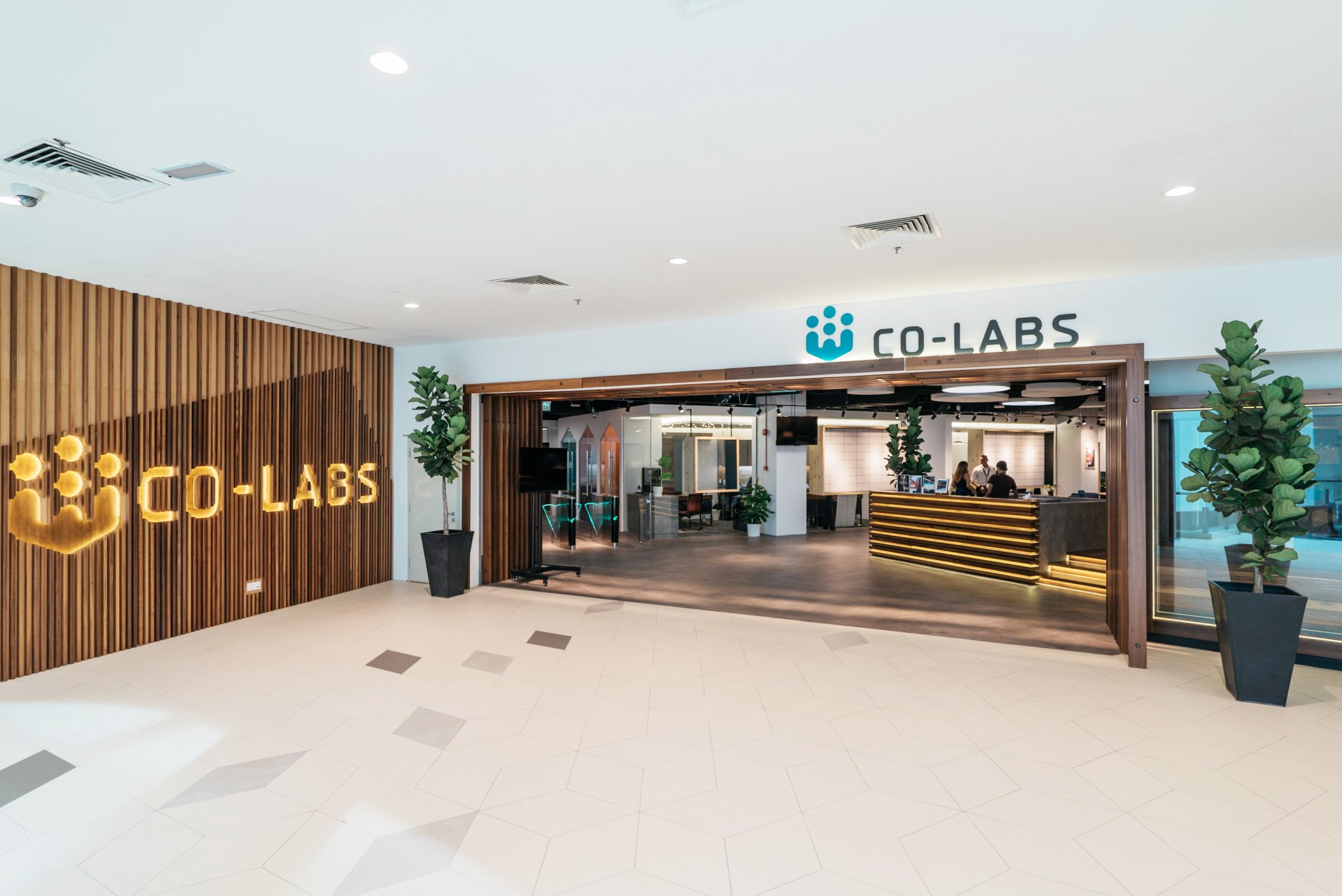 Co-labs Coworking The Starling